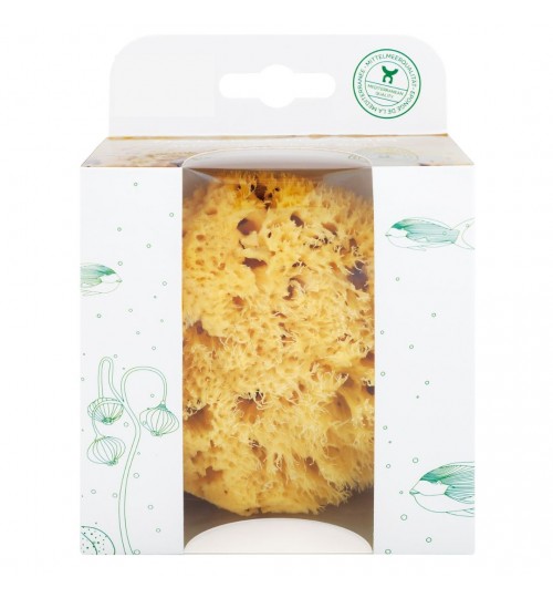 Naturschwamm in Geschenkebox