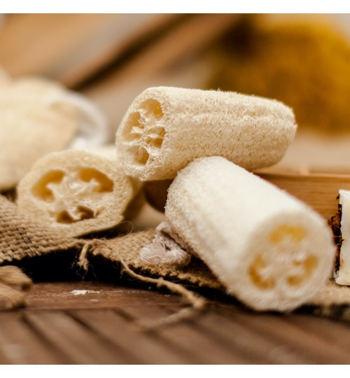 schwamm luffa nachhaltig plastikfrei 