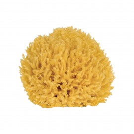 Naturschwamm Mittelmeerschwamm 11cm
